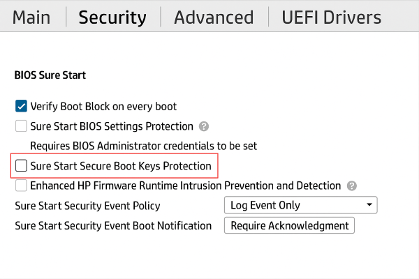 HP - Wolf Security Boot Protection